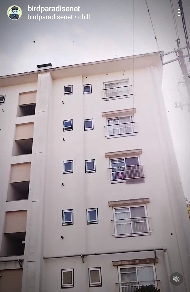 10月インスタグラムキャンペーン画像16