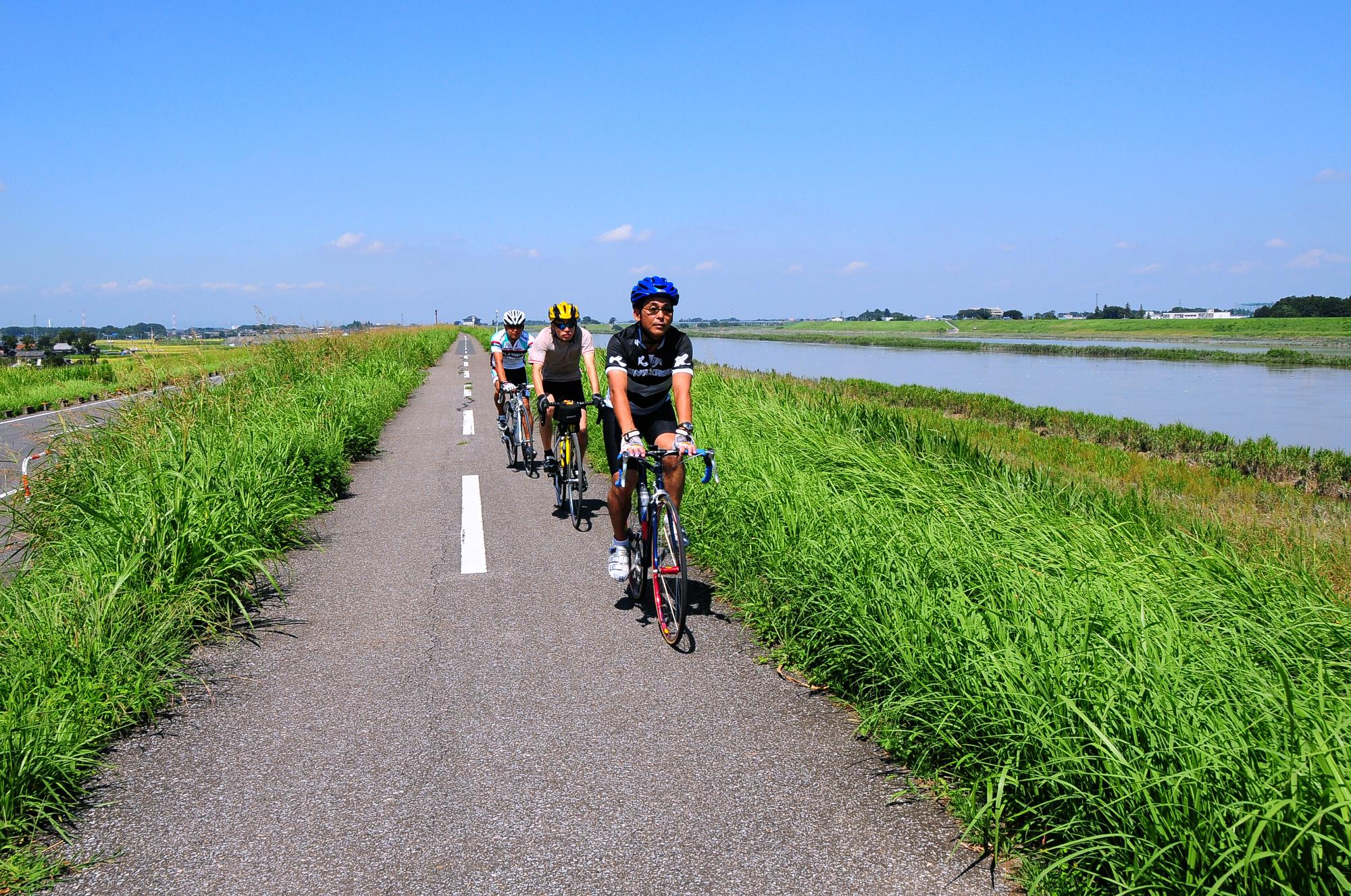 江戸川河川敷のサイクリングロードでサイクリングを楽しむ様子