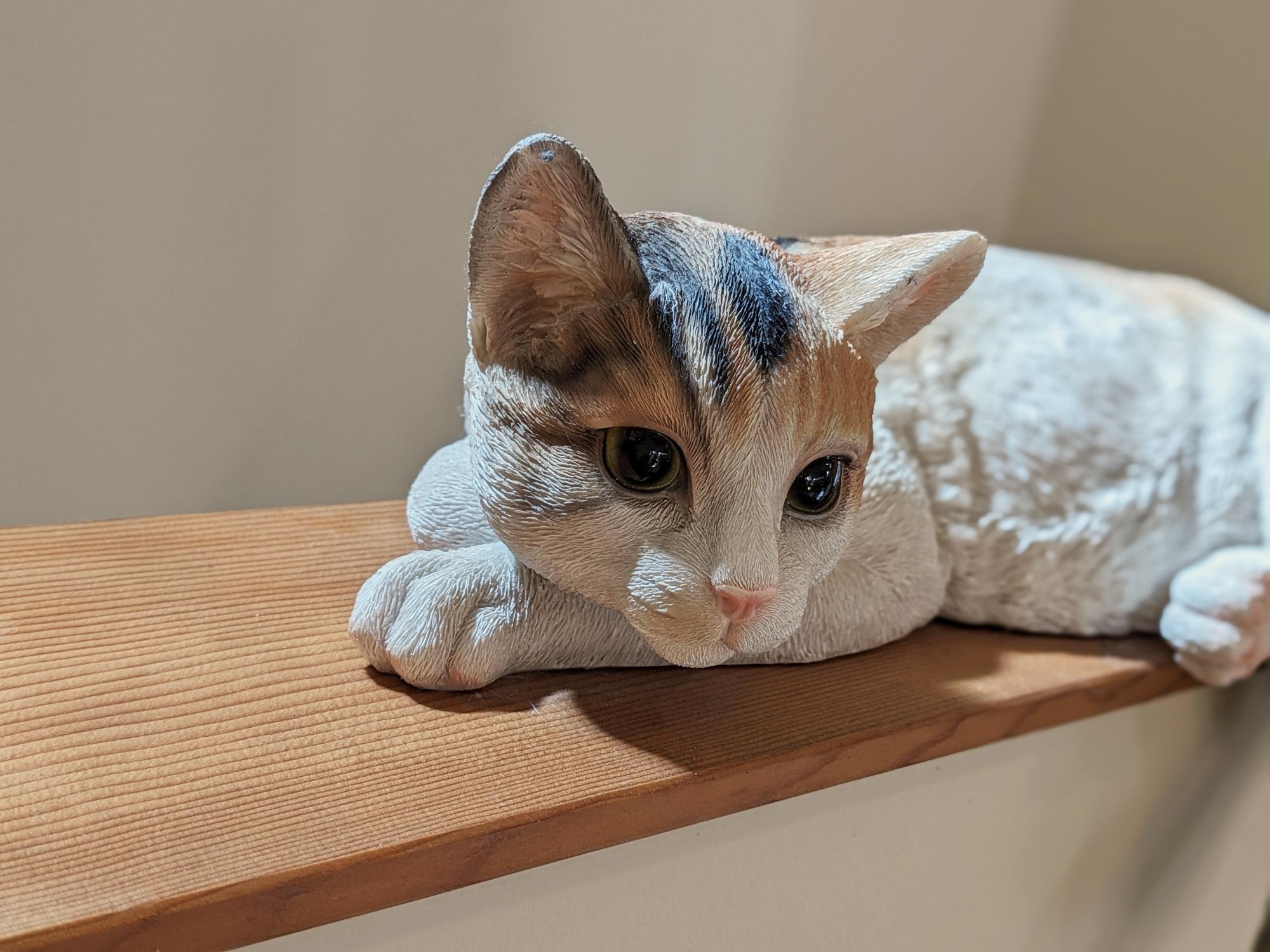 参加者撮影写真2