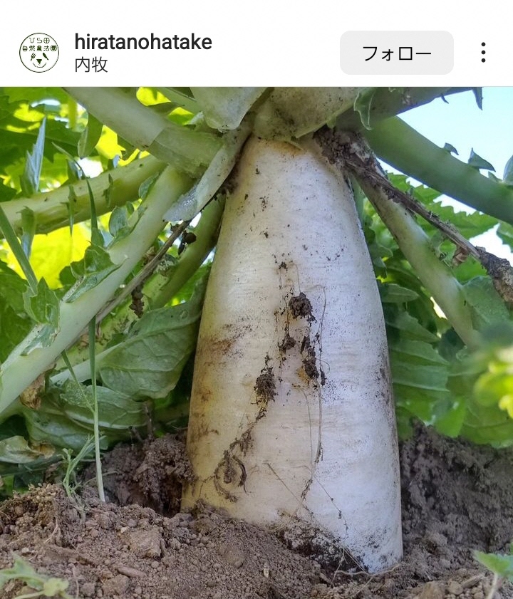 1月インスタグラムキャンペーン画像2