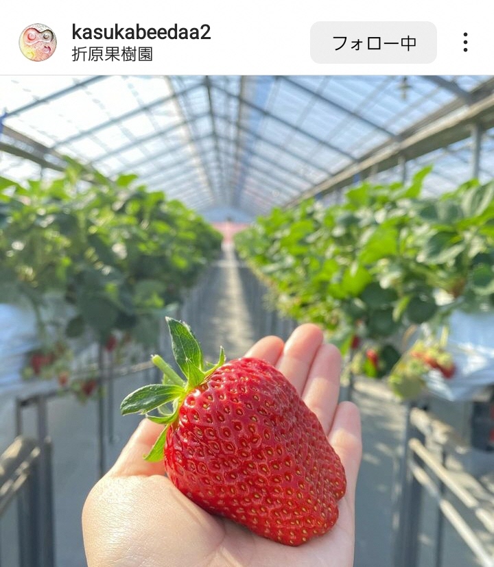 1月インスタグラムキャンペーン画像8