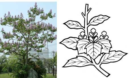 薄紫色の花が咲いているキリの木の写真と、キリの木の枝に花が咲いている白黒のイラストが並んでいるイメージ