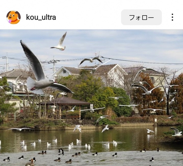 10月インスタグラムキャンペーン画像6