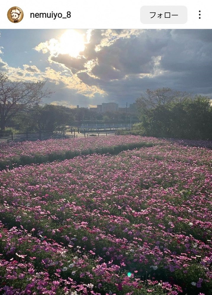 10月インスタグラムキャンペーン画像1