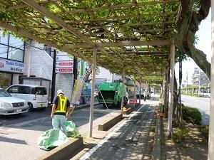 落ちた枝葉を綺麗に掃除している様子の写真