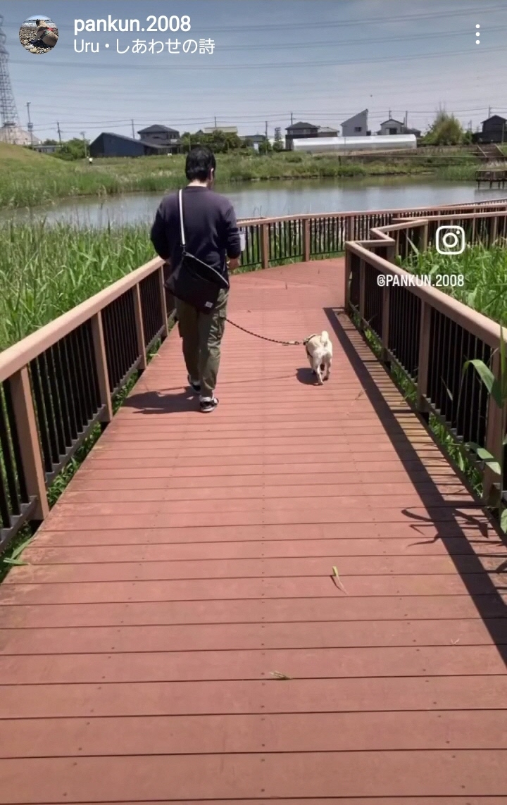 10月インスタグラムキャンペーン画像11