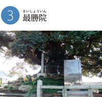 大樹の前に看板が立てられている写真