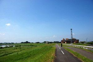 青々とした芝生に囲まれた江戸川沿いのサイクリングロードの写真