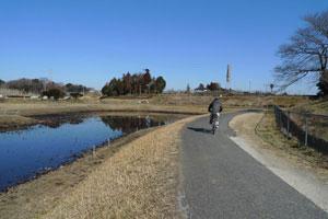 公園沿いのサイクリングロードを自転車が走っている写真