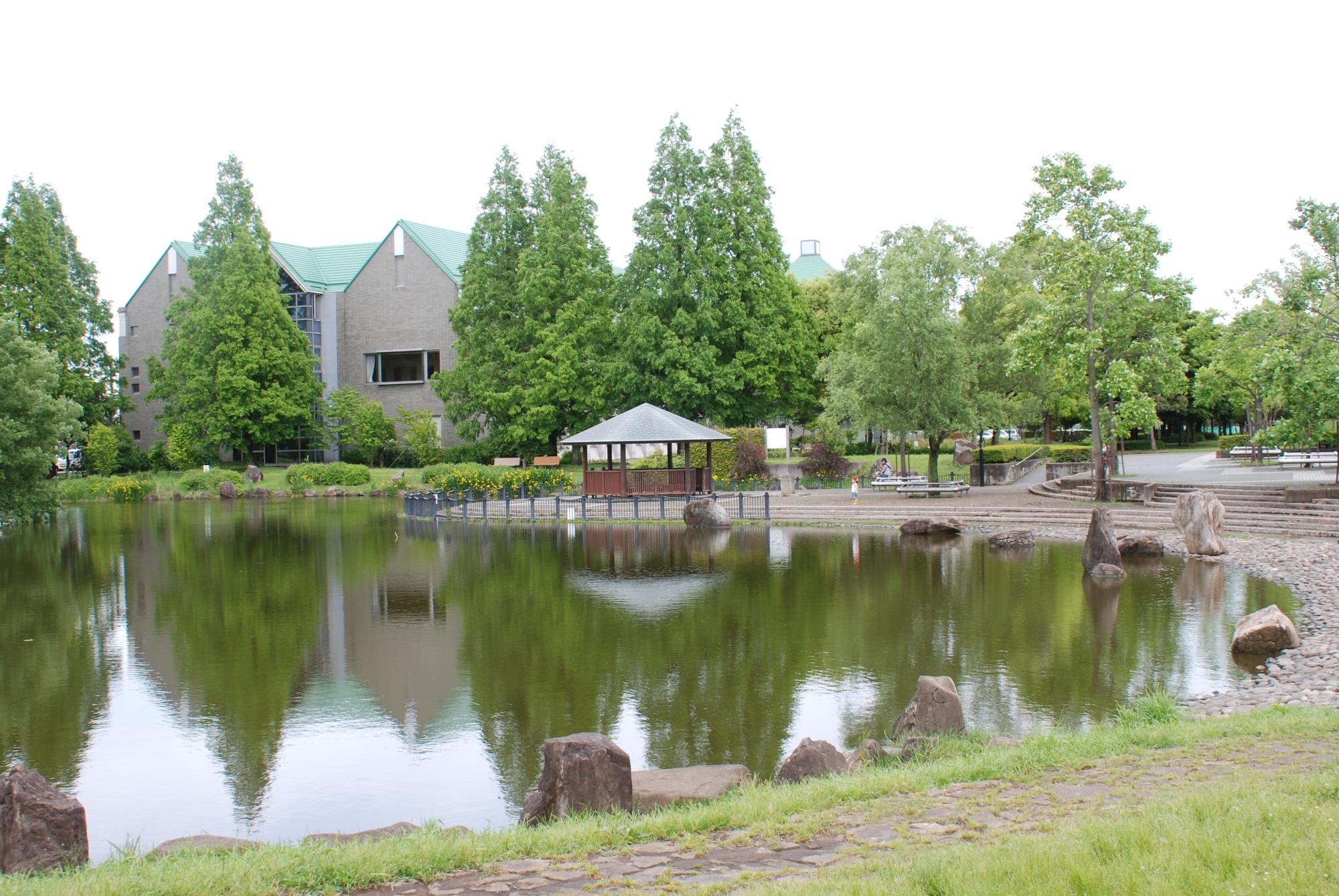 庄和総合公園の修景池の写真