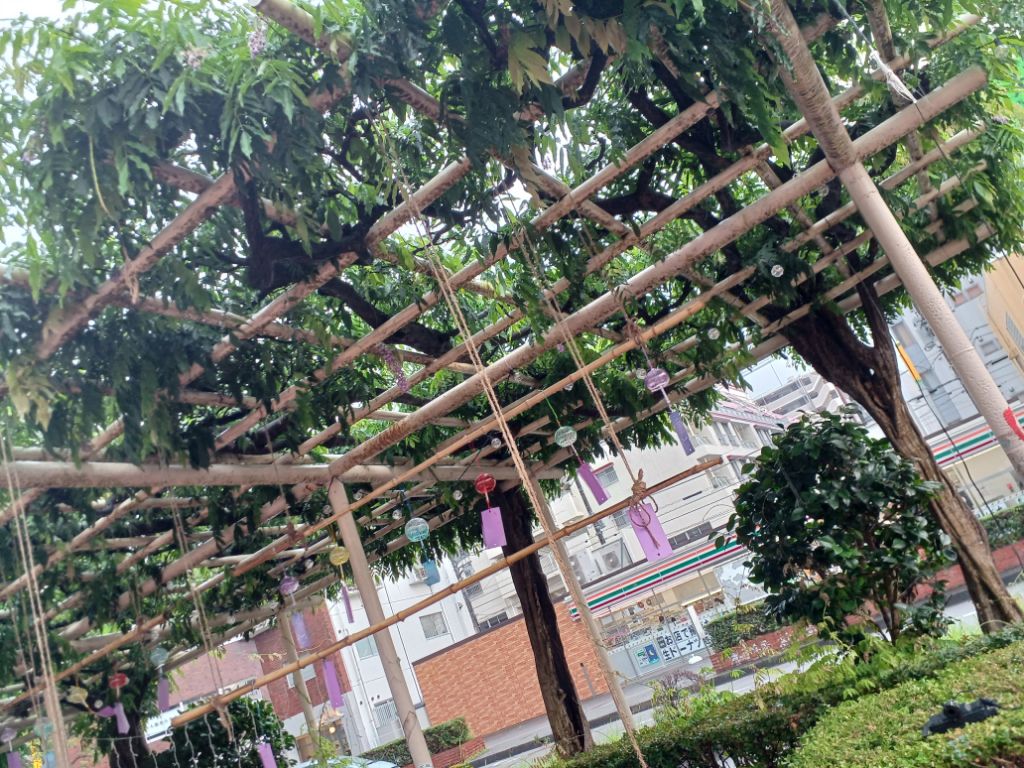 風鈴が飾られた藤棚