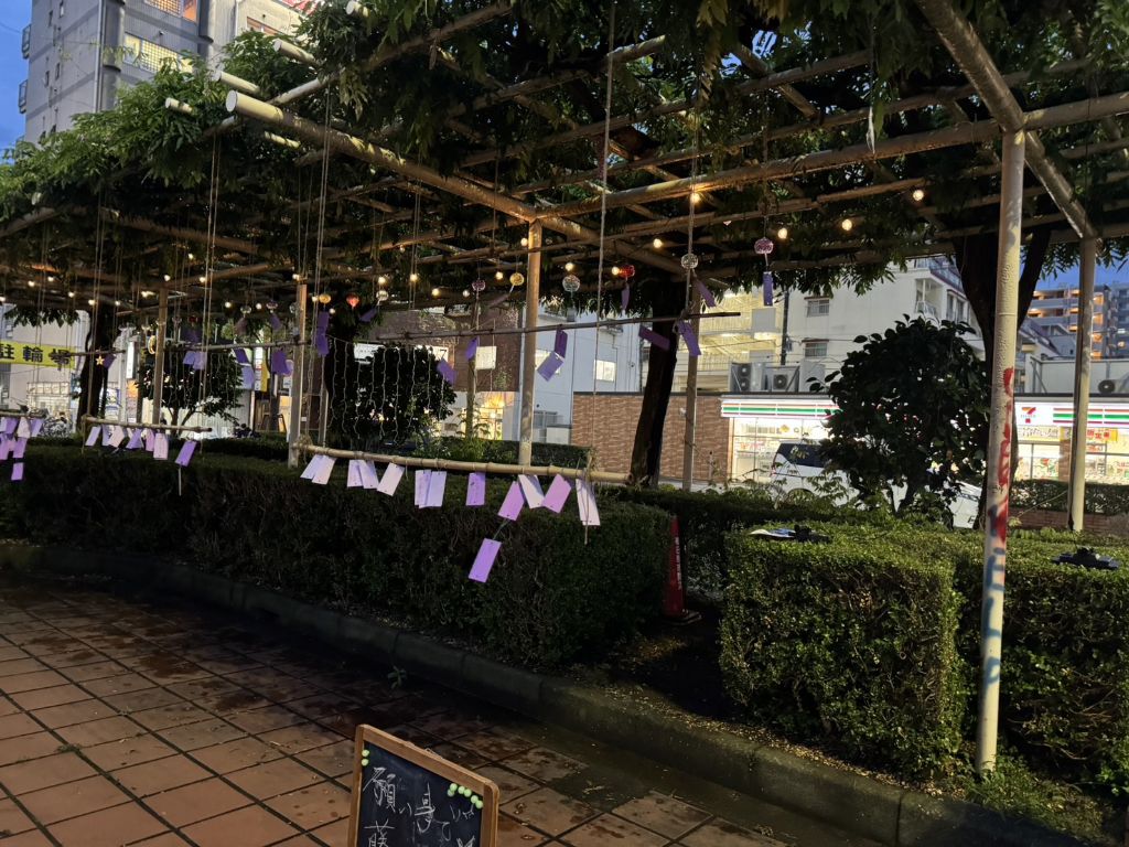 風鈴が飾られた藤棚に明かりが灯る様子