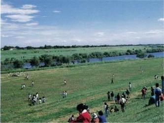 江戸川堤防で多くの人がくつろいでいる写真