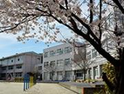満開の桜の枝の向こうに見える春日部市内の学校校舎の写真