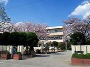 快晴の空の下の春日部市内の学校校舎の入口の門の写真