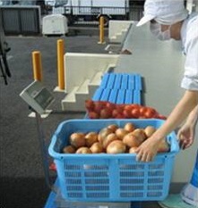 野菜の重さをはかる