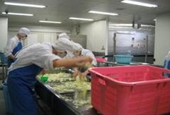 キャベツを洗う