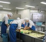 キャベツを洗う様子