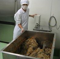 サラダを機械で混ぜる