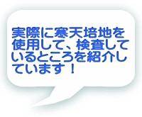 実際に寒天培地を使用して、検査しているところを紹介しています！