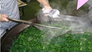 中心温度を測定する様子