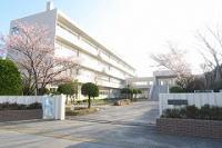 校門の脇に桜が咲いている奥に見える「藤塚小学校」の写真（「藤塚小学校」のサイトへリンク）