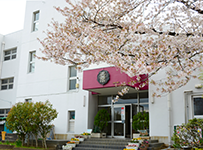 桜が咲いている奥に見える「正善小学校」の写真（「正善小学校」のサイトへリンク）