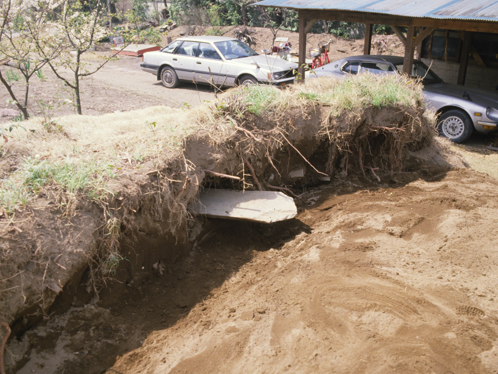 浜川戸遺跡の調査（昭和62年）