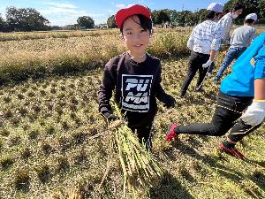 児童が笑顔で刈り取った稲を持っている